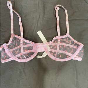 Urban Outfitters Pink Heart Sheer Bra